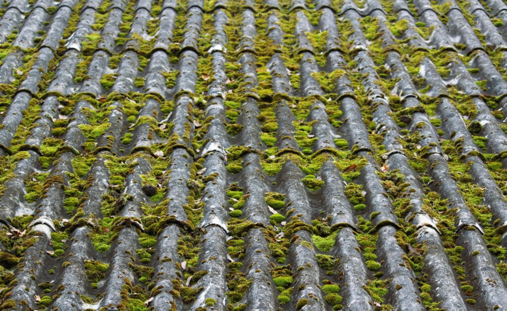 pexels photo 34439915 34439915 Close-up of an old slate roof covered with lush green moss, captured outdoors.